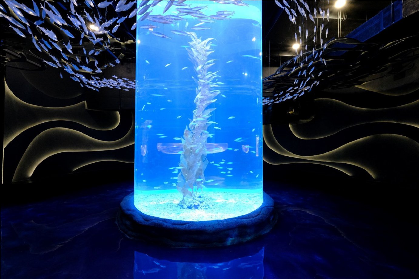 Jakarta Aquarium Safari